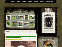 Tablet Screenshot of algucarri.es